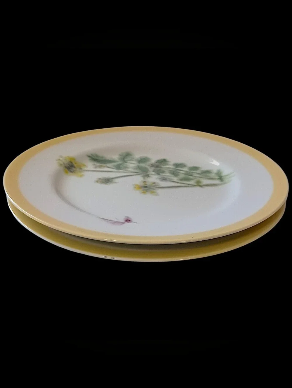 2 Williams Sonoma Flowering Herbs Salad Plates Yellow Burnet Purple Butterfly